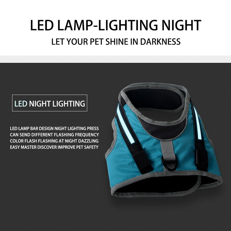 Luminous LED Harness