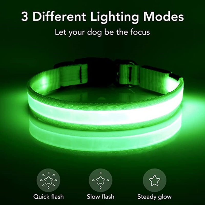 Premium LED Dog Collar