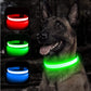 LED DOGGO™ - LED Dog Collar