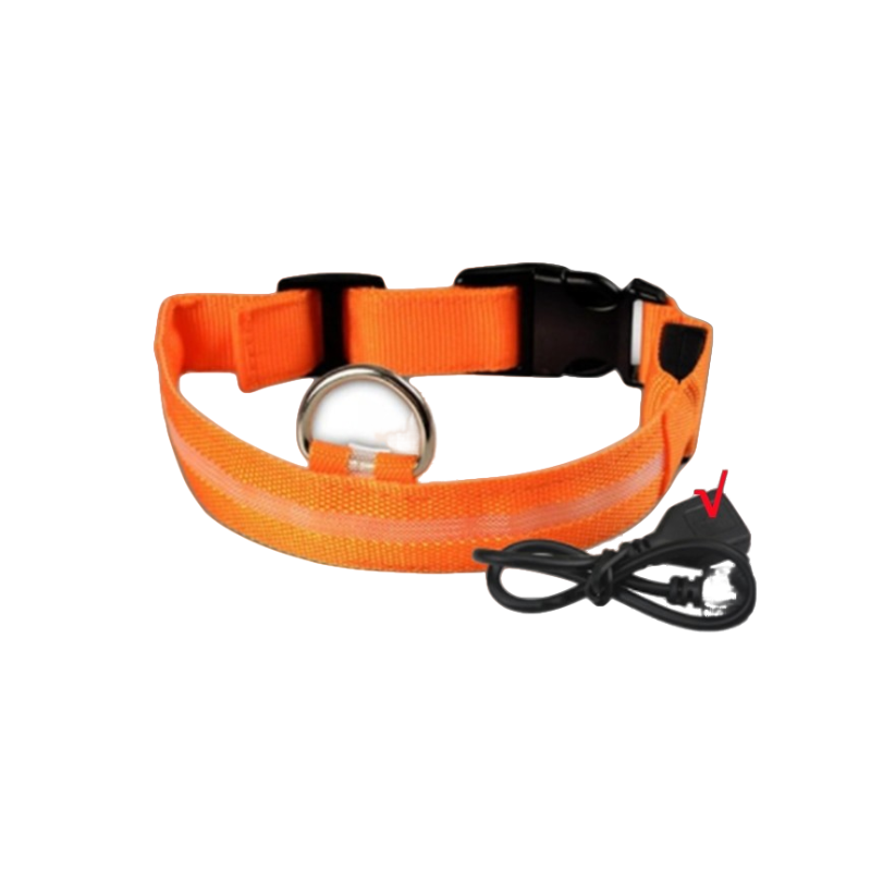 LED DOGGO™ - LED Dog Collar